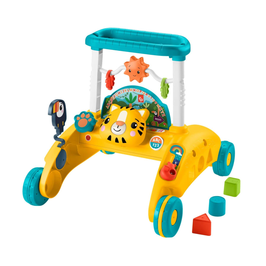 Jogo Educativo FISHER PRICE Carro Pequeno Sort DIS (Idade Mínima: 12 Meses  - 3 x 1 x 3,5 cm)